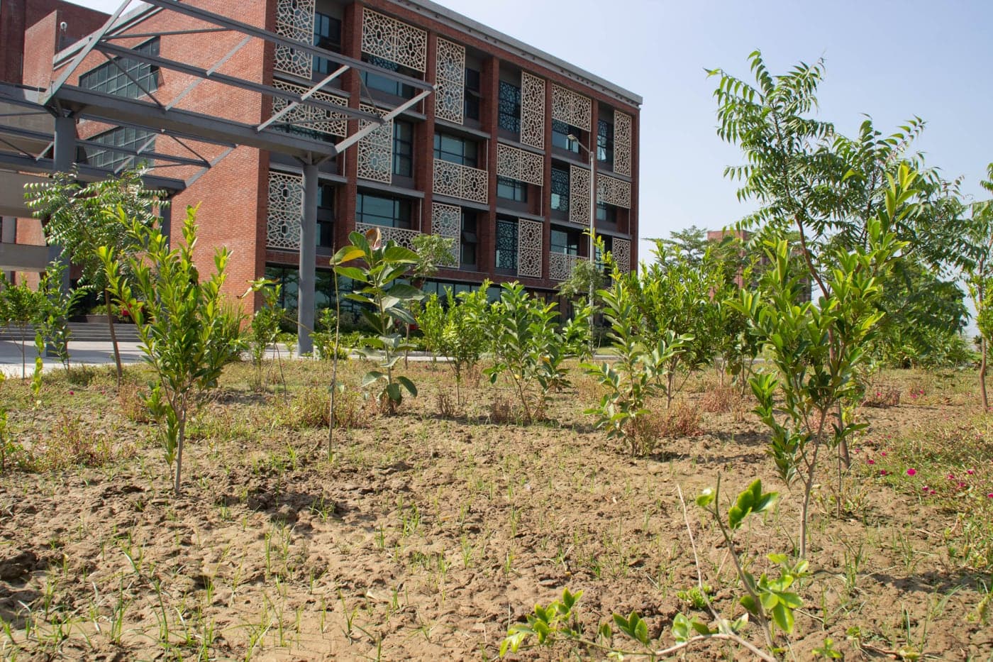 Rishihood University Sonepat hostel photo 116